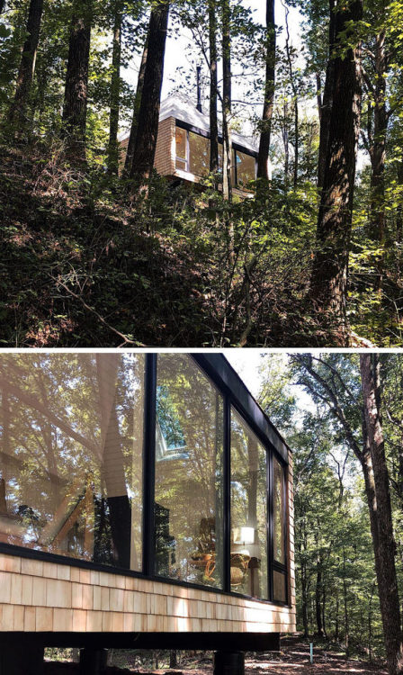 (via This Off-Grid Shingle Clad Cabin In Ohio Was Inspired By...