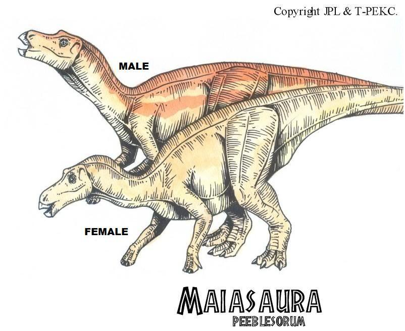 maiasaura jurassic park