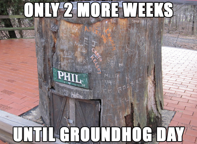 2 weeks until Groundhog Day