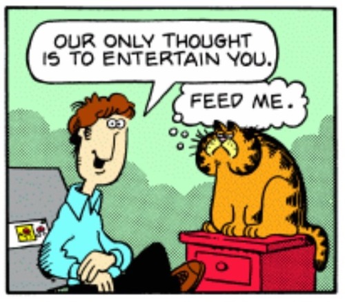 comics garfield forever comicstrip