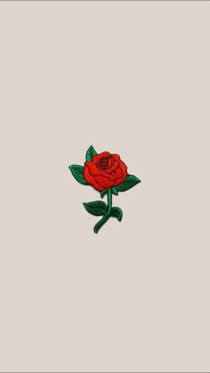 rose wallpaper on Tumblr