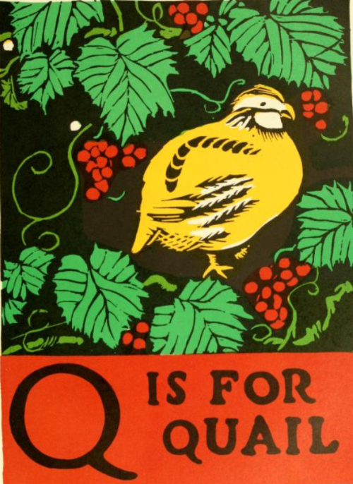 “Q is For Quail”, from “The ABC book” by C. B. Falls (1923)