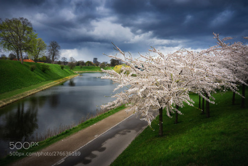 socialfoto:Springtime in Copenhagen by einaz80 #SocialFoto