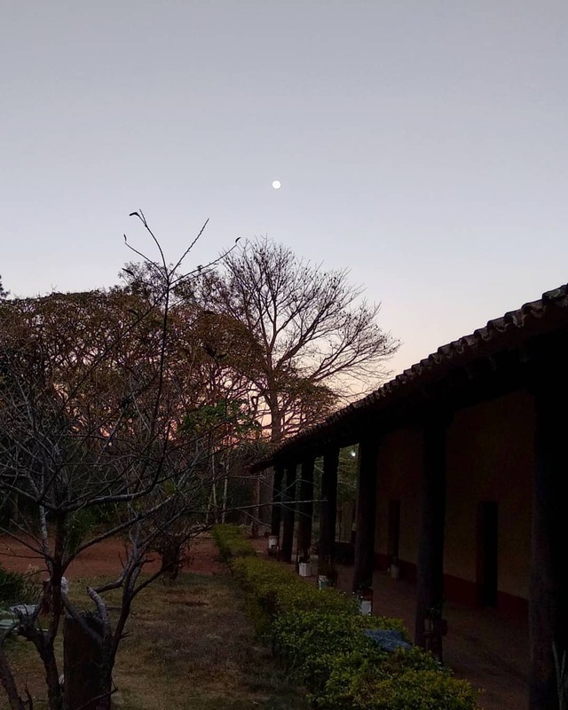 Untitled — #FullMoon 🌕 #Sunset #trees 🌳🌿 #Moon 😍 (en Santa...