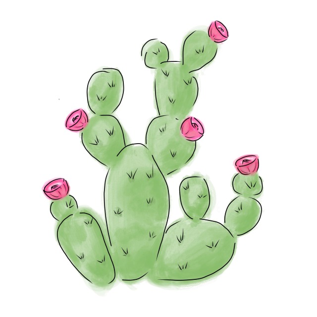 Cactus Artwork Explore Tumblr Posts And Blogs Tumgir