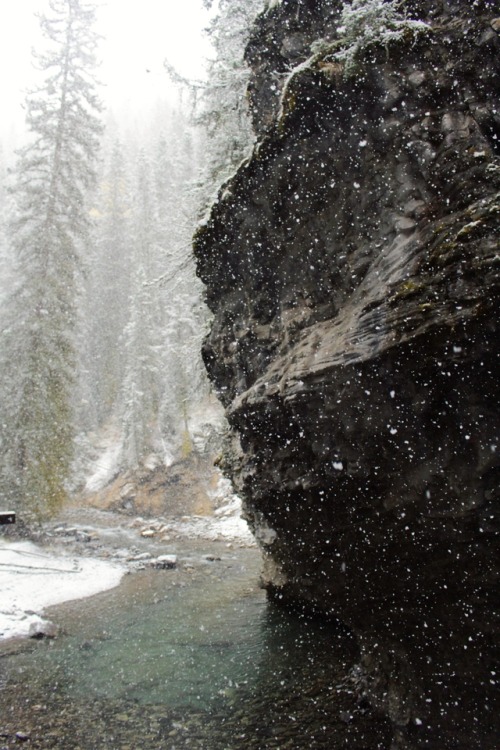 matchbox-mouse:River in the snow.Alberta, Canada.