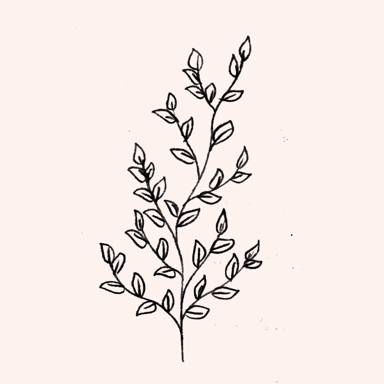 Plant Drawing Tumblr