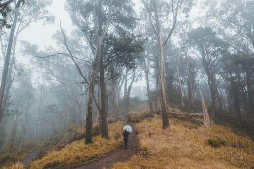 Mt. Davidson View on Flickr(Source: SamAlive)