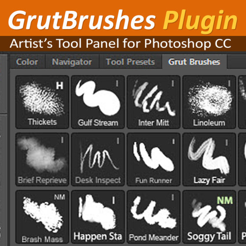 FREE Grut Brushes Plug In for Photoshop CCDownload...