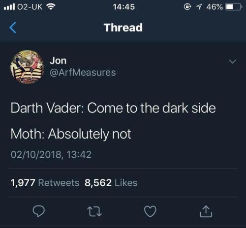 memecage:Moth_irl