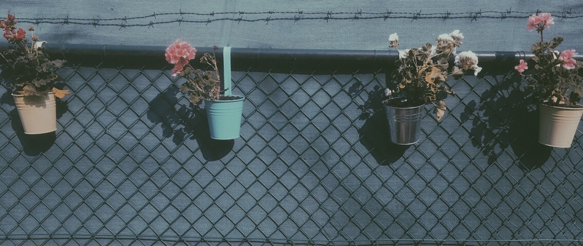 Grunge And Unicorns Plant Your Own Garden And Decorate Your Own