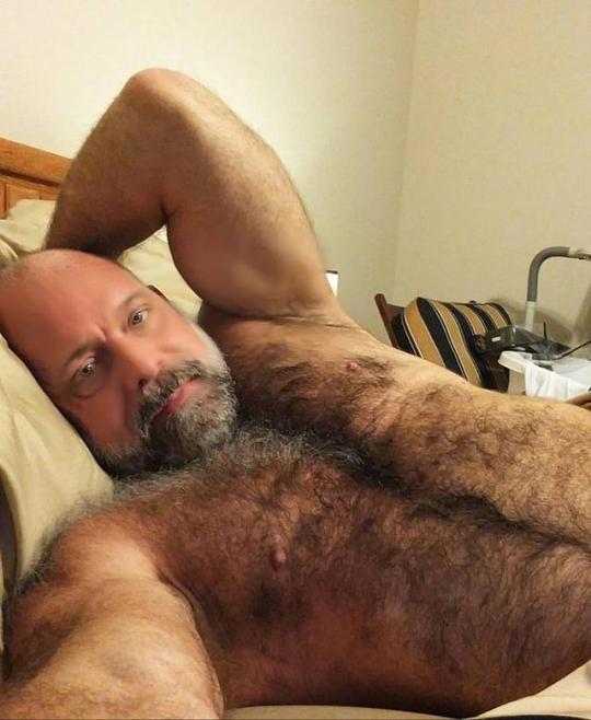 Salt pepper hair bears gay