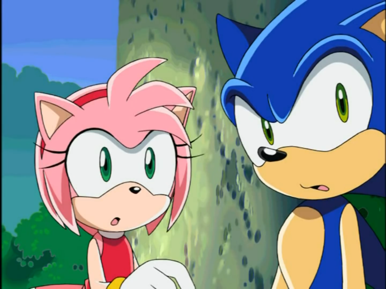 Sonamy sonic x