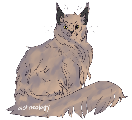 astrieology