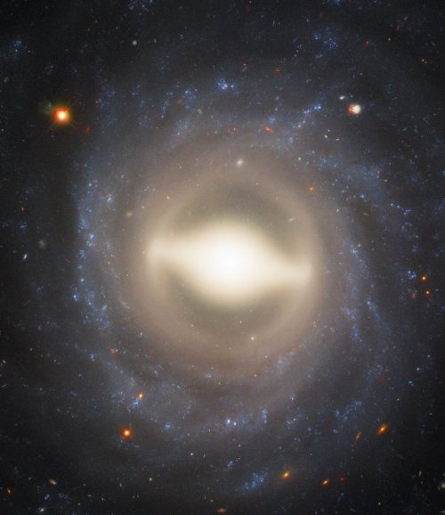 Spirals and supernovaeThis stunning image from Hubble shows the...