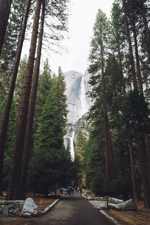 vvnnie:YosemiteInstagramWebsite