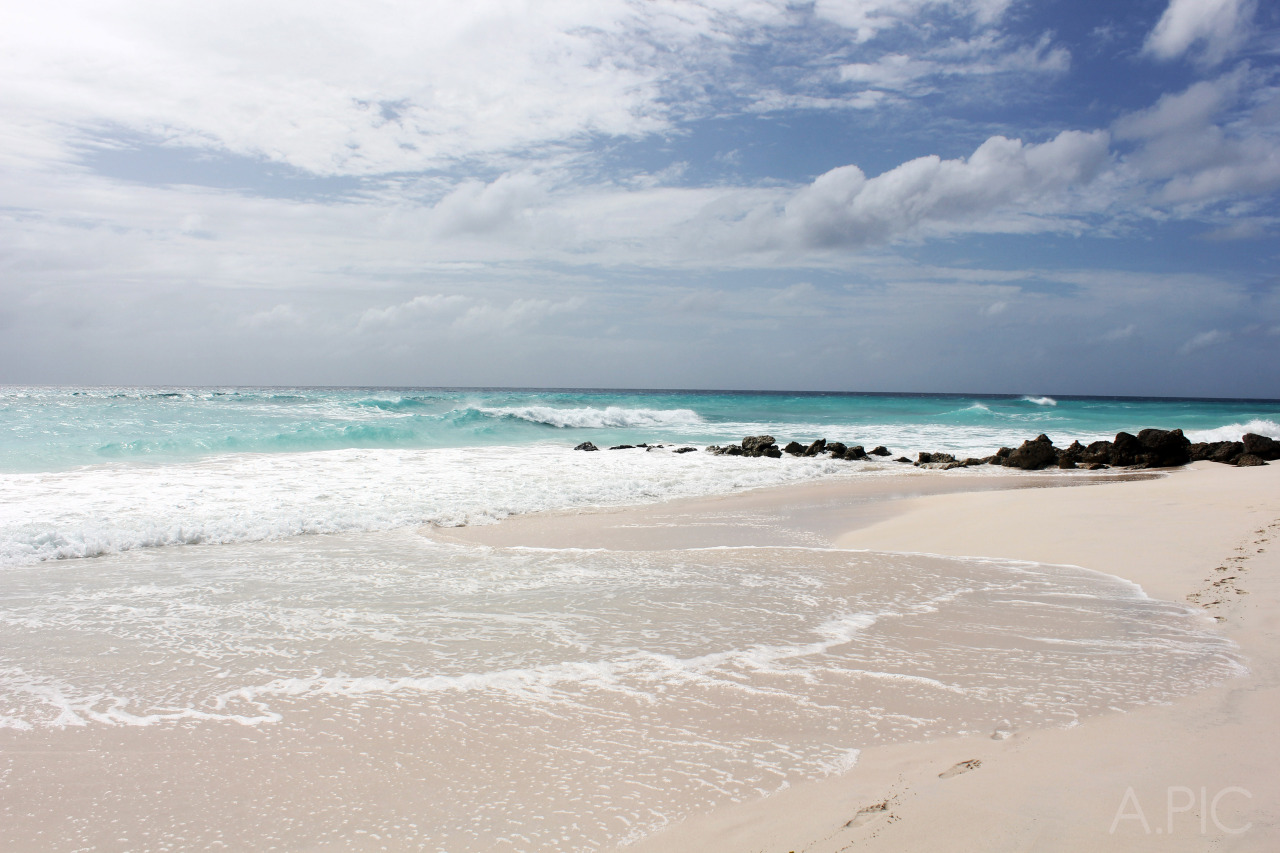 A.pic • Maxwell Beach   Barbados