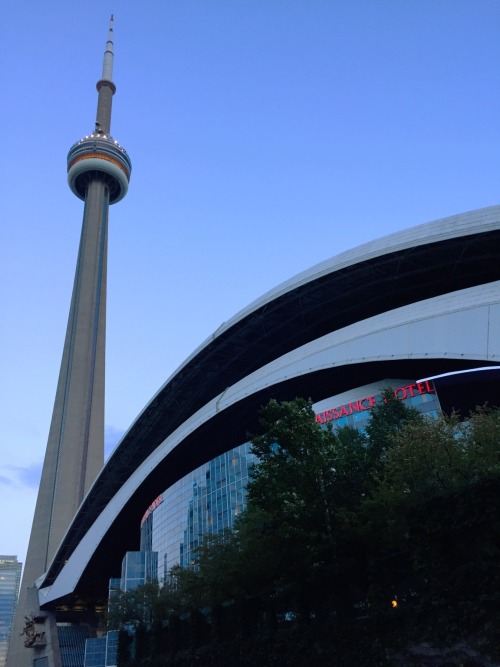 at Rogers Centre – View on Path.