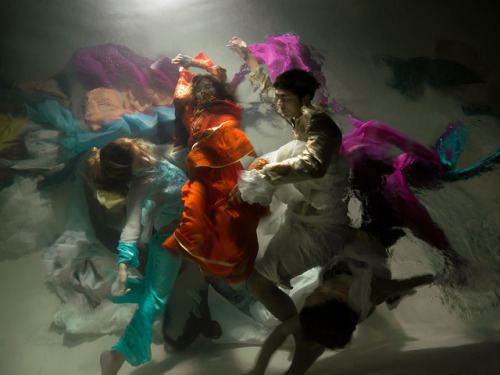 bobbycaputo:The Painterly Underwater Photographs Of Christy...