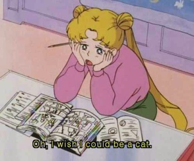 Sailor Moon Aesthetic Tumblr