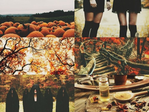 halloween aesthetic halloween autumn aesthetic fall aesthetic witchcraft aesthetic witchcraft autumn fall halloween special popular