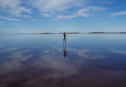 unexplained-events:The Black Stick Man PhenomenonA new...