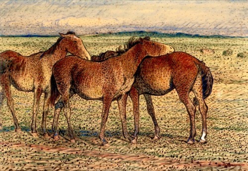 art-nimals:Nils Kreuger, Three Horses, oil on paper, 68,5 x 98,5...