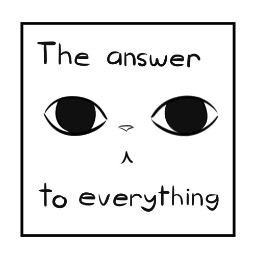 thememorycardisfull:The Answer