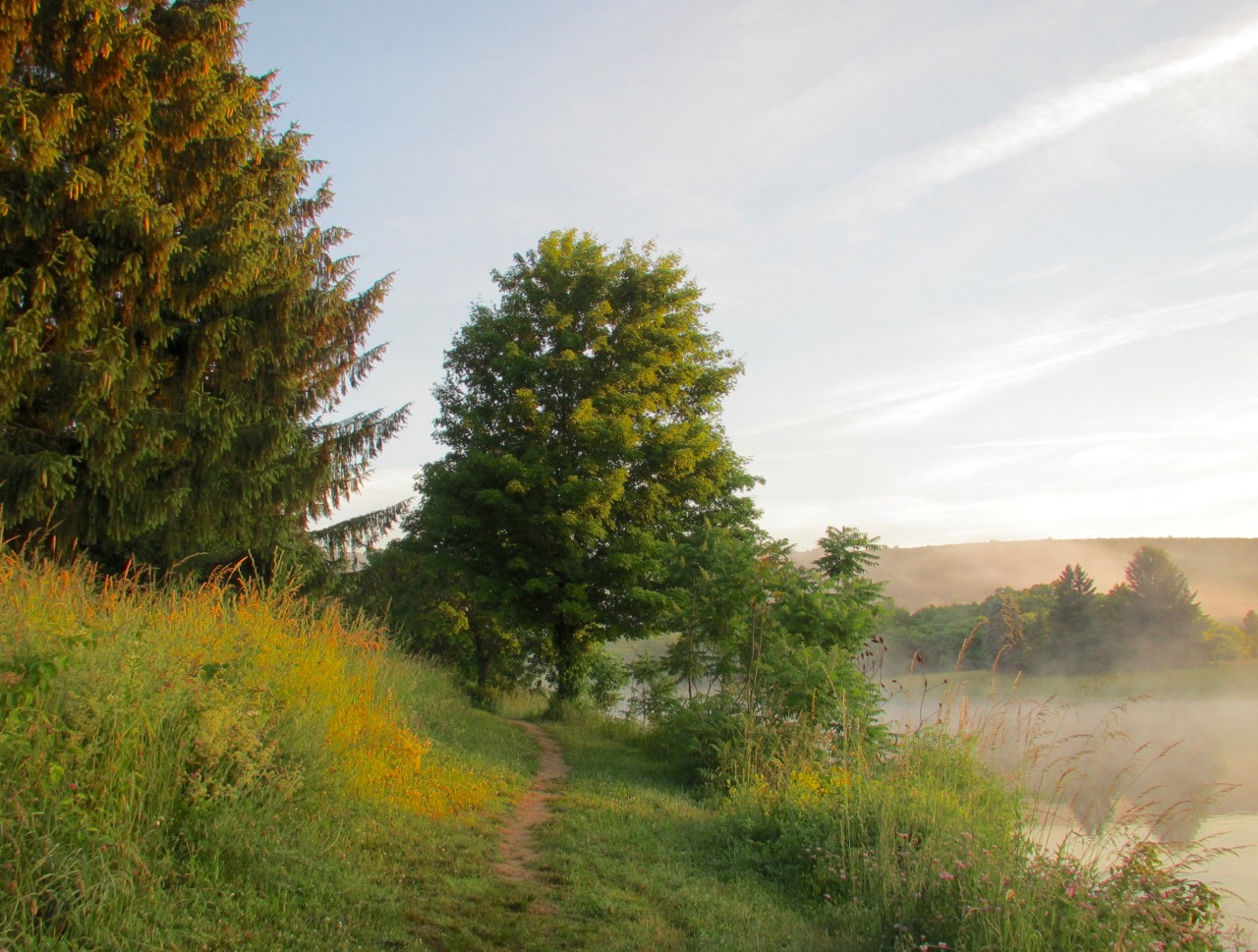 Misty lake цвет шевроле