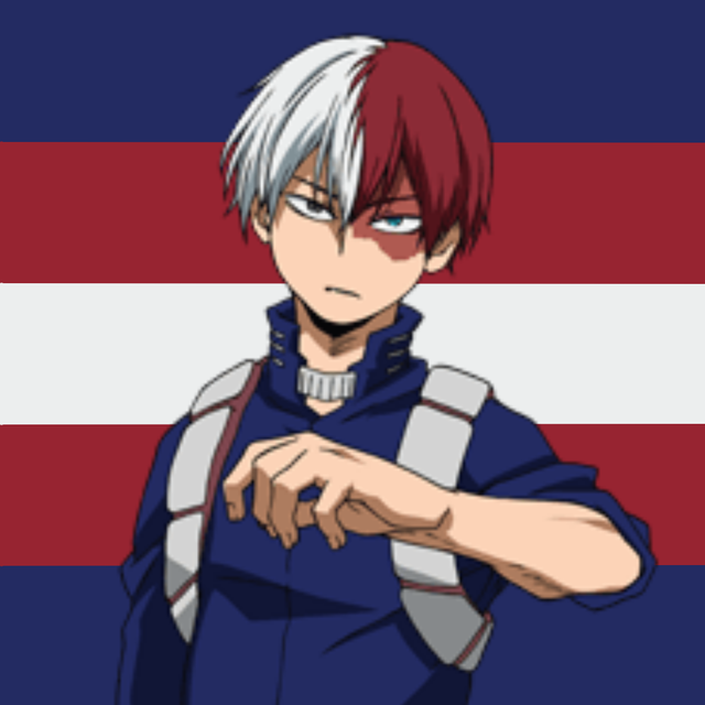 Todoroki Shouto Flags Gay 