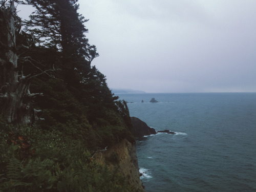 leaberphotos:And with the rising sun, I arose from ash and...