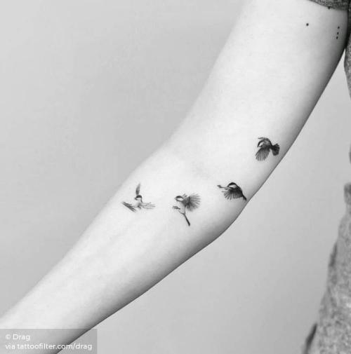 By Drag, done in Manhattan. http://ttoo.co/p/33217 animal;arm;bird;black capped chickadee;drag;facebook;micro;single needle;twitter