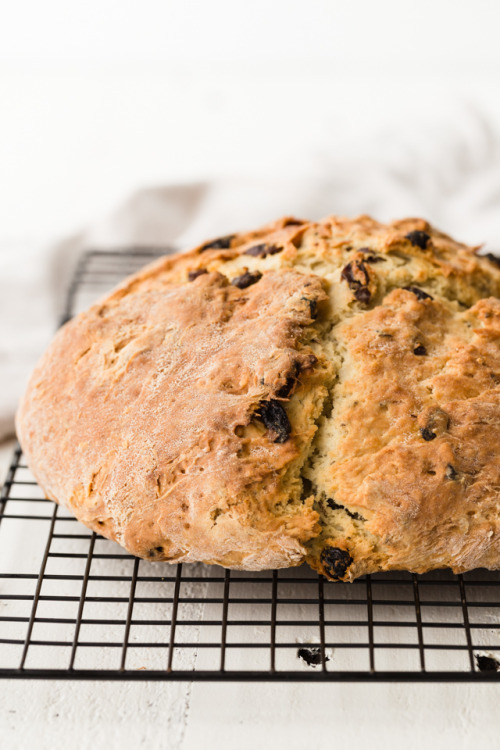 introvertbaker:This Irish Soda Bread is a family favorite....