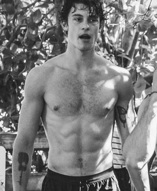 Shawn Mendes Chest Hair Tumblr