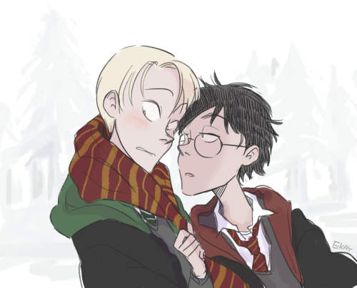 Drarry On Tumblr