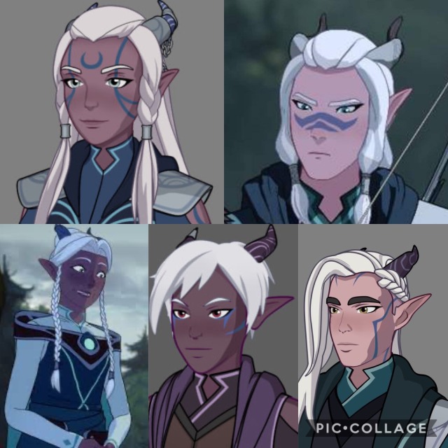 rayla’s parents | Tumblr