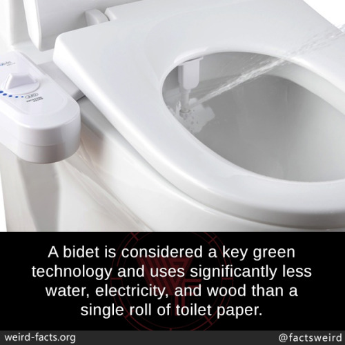 mindblowingfactz:A bidet is considered a key green technology...