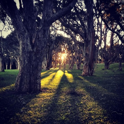 #winterwander #sundayset #parklaps (at Centennial Parklands)