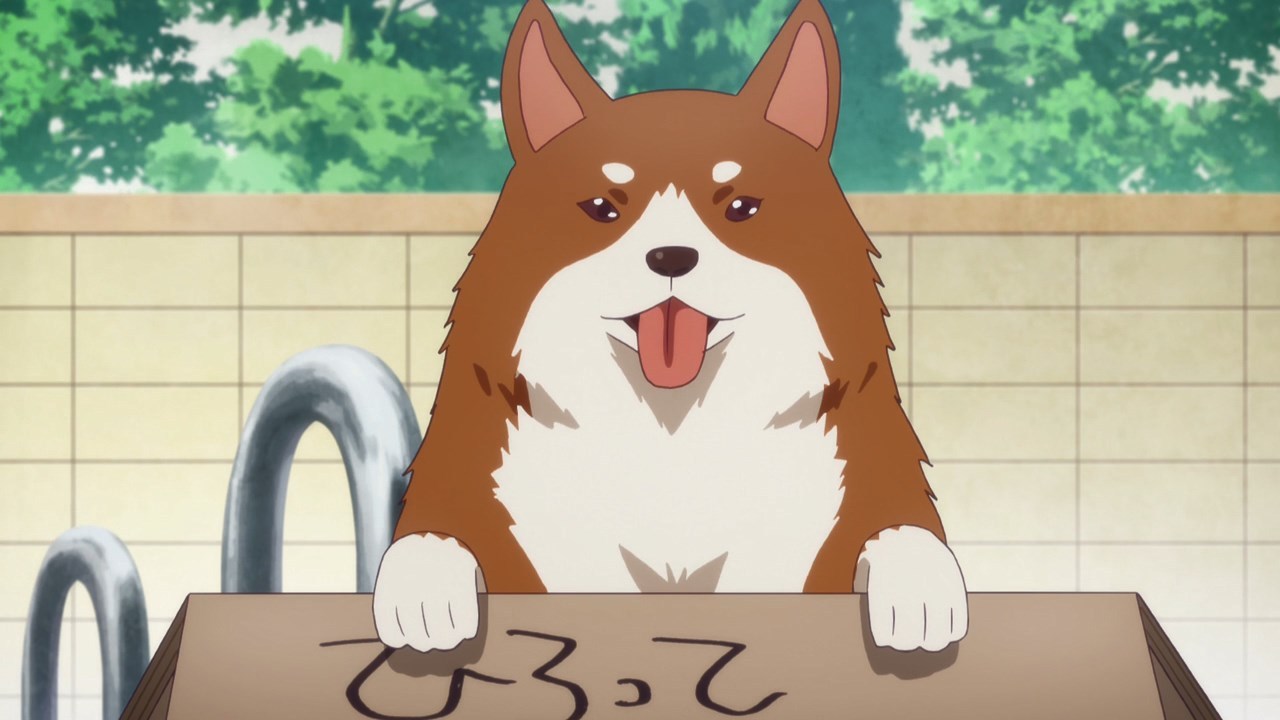 download anime dog day 240p