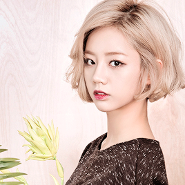 Female Idols With Short Hair Appreciation Post Allkpop Forums