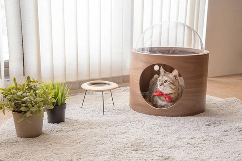 pr1nceshawn:Spaceship-Inspired Cat Beds.