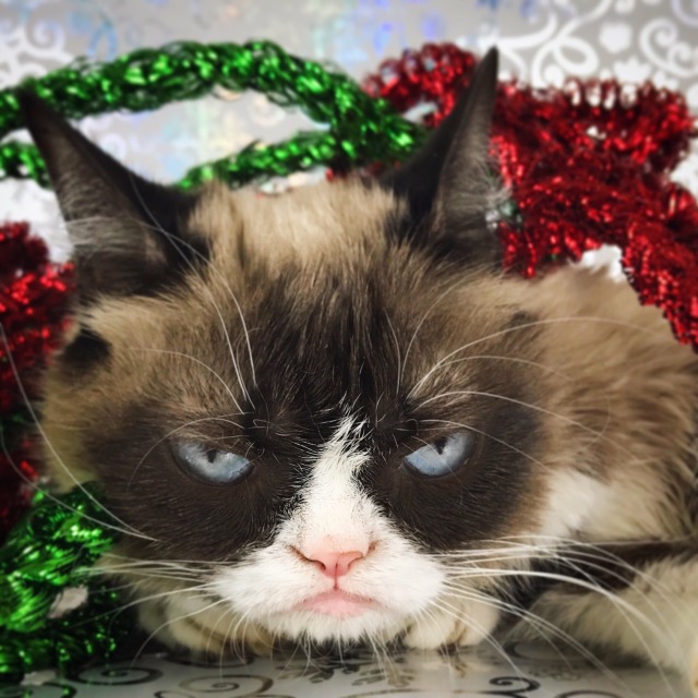 The Official Grumpy Cat's Tumblr