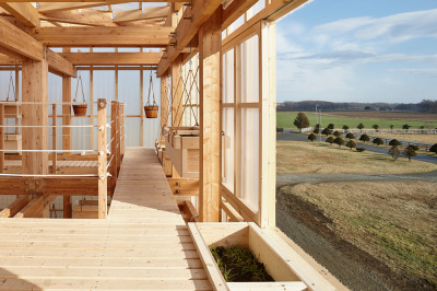 Nest We Grow / UC Berkeley + Kengo Kuma Associates