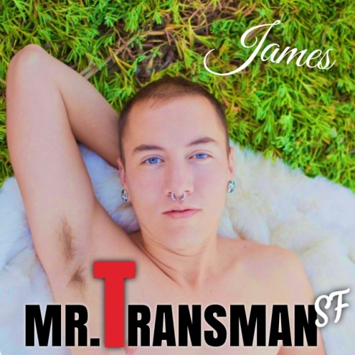 Mr Transman Tumblr