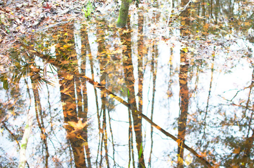 Wakulla Springs State Park