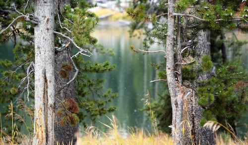 original photographers photographers on tumblr my photograph nikonphotography wyoming