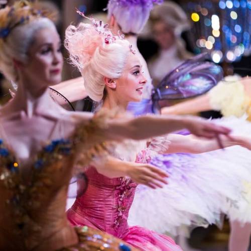 tutu-fangirl:Artists of The Australian Ballet in The Sleeping...