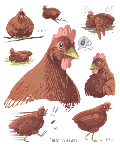 Rhode Island Red Tumblr