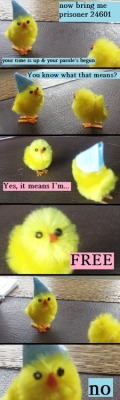 Shouldn’t find this as funny as I do ahahahaha