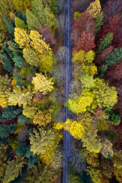 0rient-express:Polish Autumn | by Kacper Kowalski.